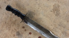 Dráma v Bratislave: Zdrogovaný muž ohrozoval mačetou svoju sestru aj policajtov