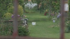 Záhradkári pri Trenčíne sú zúfalí. Kradnú im všetko, čo je železné