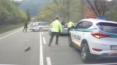 Poliak (20) po nehode na Orave ušiel, padali aj výstrely. Arogantnú jazdu zachytila kamera
