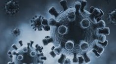 Vedci odhalili vinníka smrteľného vírusu MERS. Je zo zvieracej ríše