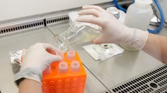 Prelomový objav, univerzálna vakcína proti chrípke je na dosah, tvrdia lekári