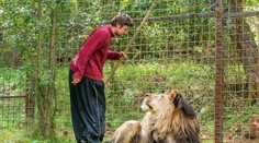 Chovateľ v Česku možno nešiel k levom dobrovoľne. Polícia preveruje aj vraždu