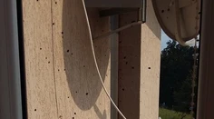 Slovensko trápi invázia lienok. Je sa čoho báť?