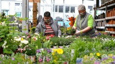 SÚHRN DŇA: Slovensko sa po dlhom čase opäť nadýchlo, na oslavu je však priskoro