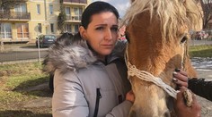Dojemné stretnutie majiteľky ukradnutého koňa z východu. Zviera skončilo v Rumunsku