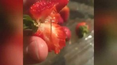 Žena, ktorá schovávala ihly do jahôd, sa postavila pred súd. Prečo to robila?