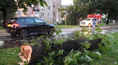 Výrazná zmena počasia. Jarné teploty striedajú dažde i silný vietor