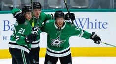 Pravidelne hrá play-off NHL, no na Stanley Cup nedosiahol. Skúsený Američan naznačil koniec kariéry
