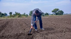 Našiel diamant a nečakane zbohatol. Šťastie sa usmialo na malého farmára
