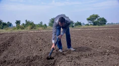 Našiel diamant a nečakane zbohatol. Šťastie sa usmialo na malého farmára