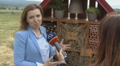 Včelie úle lemujú R1 od Nitry. Na odpočívadle postavili cestári aj včelí hotel