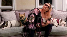 Lady Gaga ponúkla pol milióna za nájdenie jej psíkov: Je čas platiť