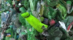 Najčastejšie chyby pri recyklovaní: Kam s obalmi z dezodorantov, zubných pást či liekov?