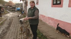 Vodička autobusu po odchode na dôchodok začala žiť na gazdovstve