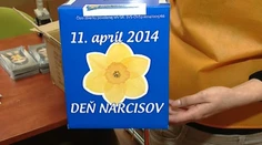 Pozor na falošné narcisy. Ako zistíte, že dávate peniaze tým správnym?