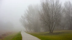 Pozor na zníženú viditeľnosť, platí výstraha. Na polovici územia Slovenska sa môže vyskytnúť hmla