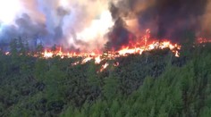 Sibír opäť ničia lesné požiare. Rusi sa ich ani nesnažia likvidovať