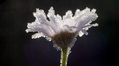 Zobudili sme sa do studeného rána. Pozrite sa, kde bolo najchladnejšie