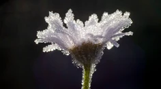 V noci poriadne prituhne. Niekde bude až -17 °C