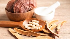 Pomocník v boji s ochoreniami. Kráľovskú hubu chvália pre jej účinky na imunitu, spájajú ju s dlhovekosťou