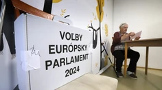 Politológ o eurovoľbách: Prítomnosť krajnej pravice je dôležitejšia ako víťazstvo proeurópskej strany