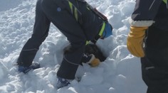 S radosťou zachraňujú životy. Lavínové psy však pred odchodom do terénu čaká poriadna drina