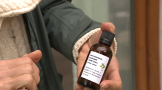 Divoké byliny sú skrytý poklad záhrady. Dajú sa z nich pripraviť nielen sirupy a tinktúry, ale aj chutné jedlá