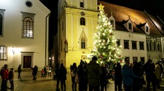 V Bratislave na Hlavnom námestí rozsvietili vianočný stromček