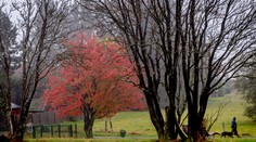 Čaká nás ukážkové počasie. Užijeme si slnečné lúče aj príjemné teploty