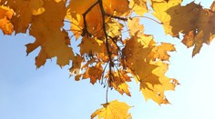 Víkend so sebou priniesol príjemné počasie. V sobotu má byť jasno až polojasno a bez zrážok