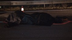 Splašeného koňa na D1 doslova rozpáralo auto
