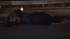 Splašeného koňa na D1 doslova rozpáralo auto