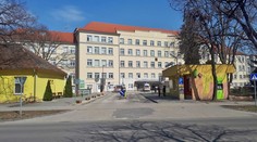 Nemocnice v Skalici a Šaci zakázali návštevy