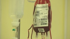 Určuje naša krv choroby, na ktoré trpíme? Vedci v tom majú jasno