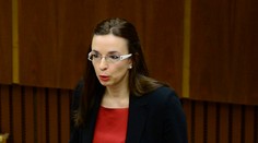 V parlamente rozhodli o osude bábätiek v pléne