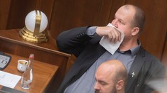 ĽSNS neobnoví poslanecký klub, náhradníčka za Kotlebu o členstvo v ňom nemá záujem