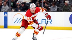 Veľký úlovok Nitry. Pod Zobor prichádza útočník so 400 zápasmi v NHL