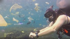 Krutá realita oceánov: Znečistenie je horšie, ako si väčšina ľudí myslí, hovorí slovenský potápač