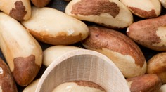 Dva nezvyčajné orechy denne pomôžu prekonať bežný zdravotný problém. Vedci odhalili ich vplyv na črevá