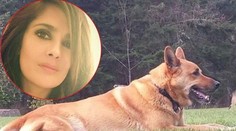 Salma Hayek smúti. Sused jej zastrelil milovaného psa