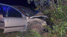 Tragická nehoda pri Dunajskej Strede. Mladík neprežil náraz do stromu