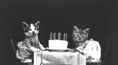 Storočné fotografie rozkošných mačiatok sú dodnes hitom. Aj bez internetu
