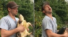 Rybár sa chcel pomaznať s korytnačkou. Zviera to pochopilo po svojom