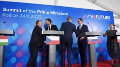 Heger požiadal premiérov V4 o pomoc v zdravotníctve