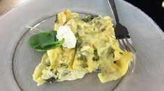 Zapekané canelloni s cottage cheese