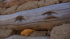 Po Ježišovi na sporáku prišli magické oči na tráme. Osadníci majú ďalšie zjavenie