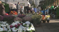 Blížia sa Dušičky. Zisťovali sme, ako inflácia ovplyvnila ceny hrobových dekorácií