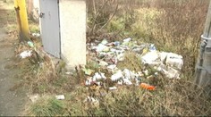 Na ich prilákanie minie Slovensko stovky tisíc eur. Toto je výsledok