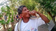 Muž sa chválil, že je imúnny voči hadiemu jedu. Bozk s kobrou ho stál život