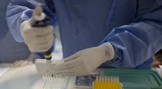 Štyria Kanaďania sa v cudzine nakazili vírusom zika; Brazília čistí oblasti